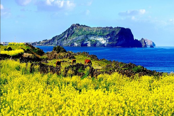 10day Small Group Discover Korea Tour : History, Food and Culture - The DMZ Day 9: Expect Security Rules and Early Timing