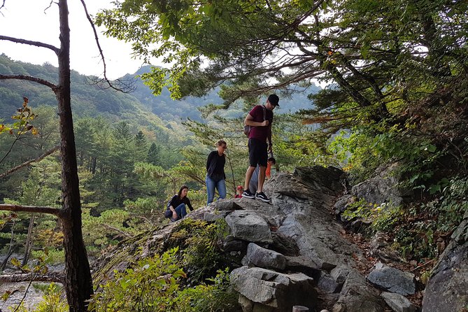 2-Day Hike through the Scenic Valleys of Mt. Seoraksan from Seoul - Food and overnight comfort: Korean BBQ, makgeolli, and the hotel setup