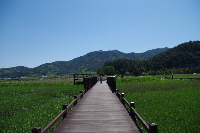 3-Day Korea Western course by K-shuttle Tour from Seoul to Busan - Who This Tour Suits Best (and Who Should Skip It)