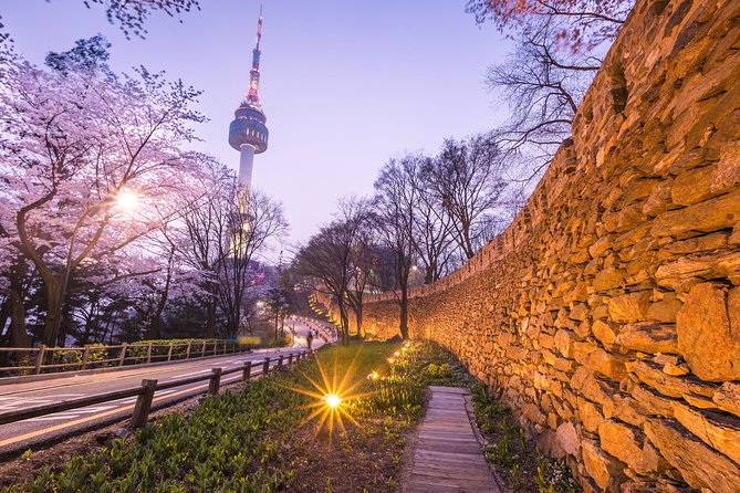 Afternoon Seoul: Hanok Vibes, Netflix Street Food & N Seoul Tower - The tour vibe: when it feels smooth and when it might feel messy