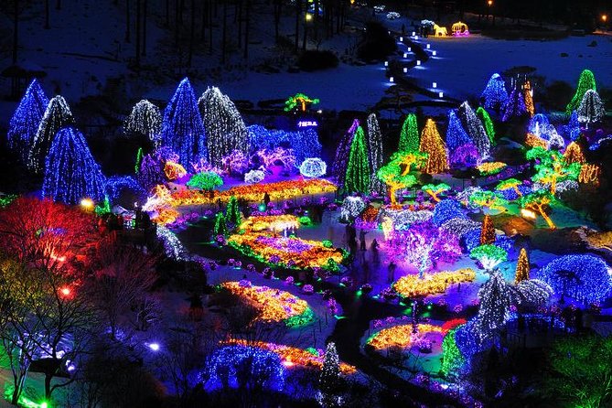 All Day Private Make your own plan tour to Nami Island and others - The Schedule: 7:30 am Start and a Full Day Rhythm