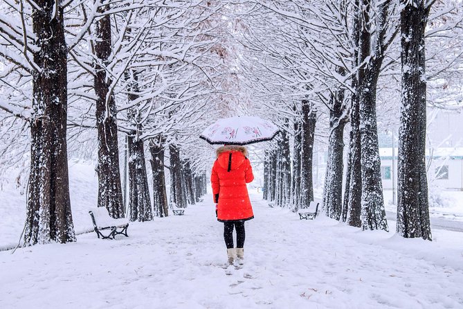 All Day Private Make your own plan tour to Nami Island and others - Stop 3: Nami Island—Romance, Walks, and Freedom to Roam