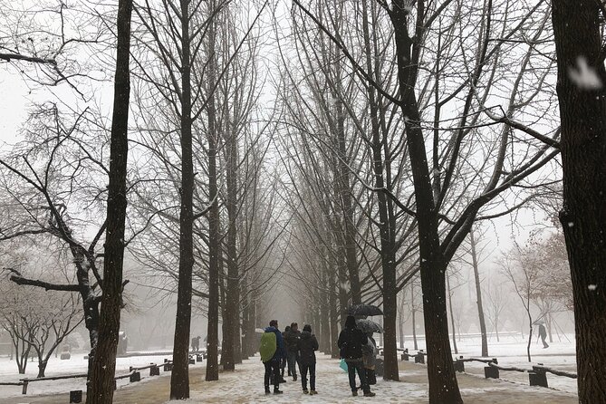 Alpaca, Nami, Eobi with Rail Bike or Strawberry - Nami Island in winter: half-moon charm, ferry ride, and photo lanes