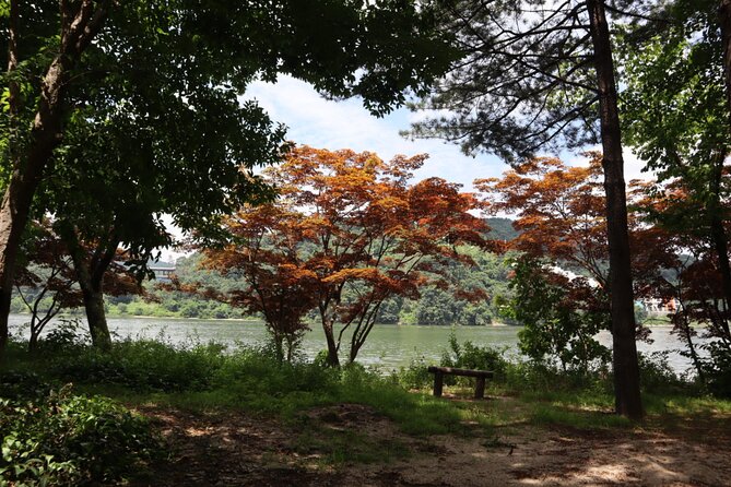 Alpaca, Nami, Petite Fr, Italian Village, Garden of Morning Calm - Seoul Outskirts Without the Headache: How This Day Trip Works