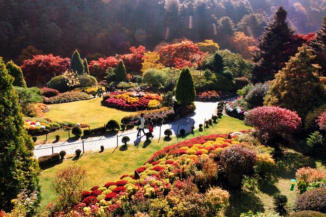 Alpaca World & Nami Island & Garden of Morning Calm One Day Tour - A one-day escape that actually feels like an escape
