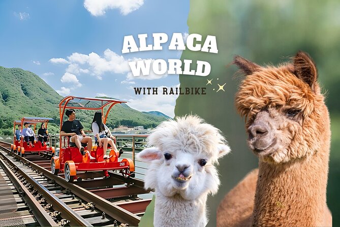 Alpaca World with Gangchon Rail Park One Day Tour - Key highlights worth your attention