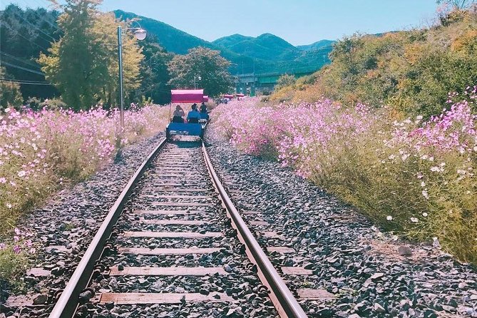 Alpaca World with Gangchon Rail Park One Day Tour - What to pack and wear so you don’t lose time