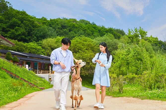 Alpaca World with Gangchon Rail Park One Day Tour - Alpaca World: the biggest pasture in Korea, and how to make the most of it
