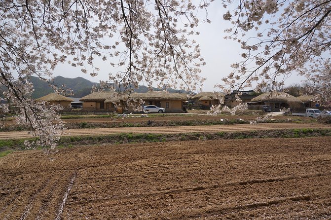 Andong Hahoe Folk Village [UNESCO World Heritage] Private Tour from Seoul - Lunch on the road: plan for included food, but confirm how it works