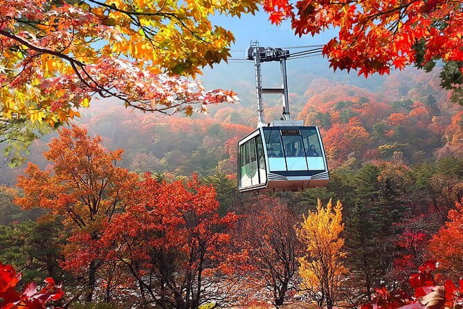 Autumn Foliage-Mt. Seorak, Sokcho Fish Market, Sokcho Beach - Key takeaways before you go