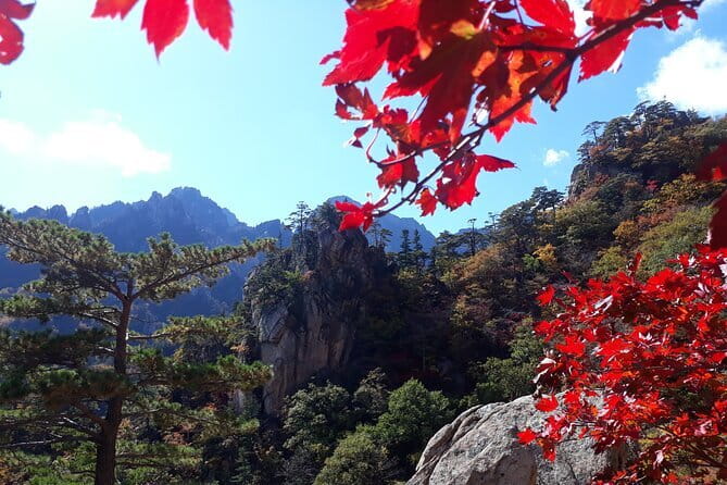 Autumn Foliage-Mt. Seorak, Sokcho Fish Market, Sokcho Beach - Seoraksan National Park: your autumn color fix (with Buddha and temple stops)