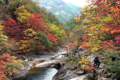 Autumn Foliage-Mt. Seorak, Sokcho Fish Market, Sokcho Beach - From Seoul meet-ups to mountain departures: how the day moves