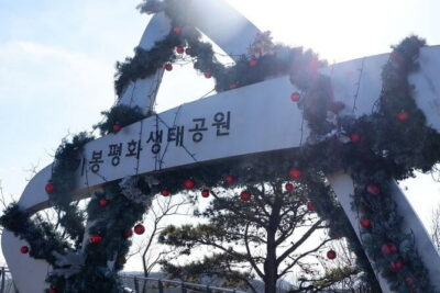 Closest Observatory to DMZ & Suspension Bridge Tour from Seoul - The Peace Eco Park Christmas Tree Story (and Why the Bridges Matter)