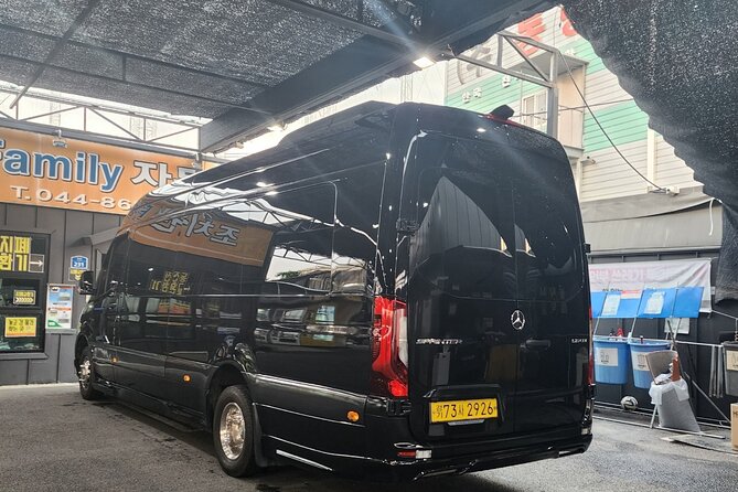 Customizable Private Seoul Tour in luxury van for VIP - Lotte World Tower and N Seoul Tower: city views with the ticket decision