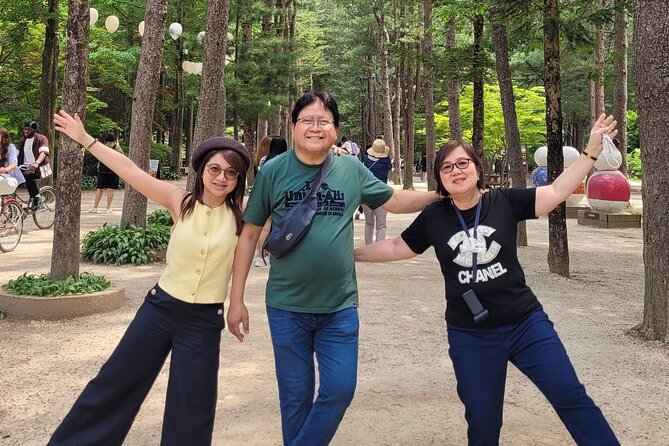 Customized Private Nami island with optional tour - Why Nami Island works so well on a Seoul day