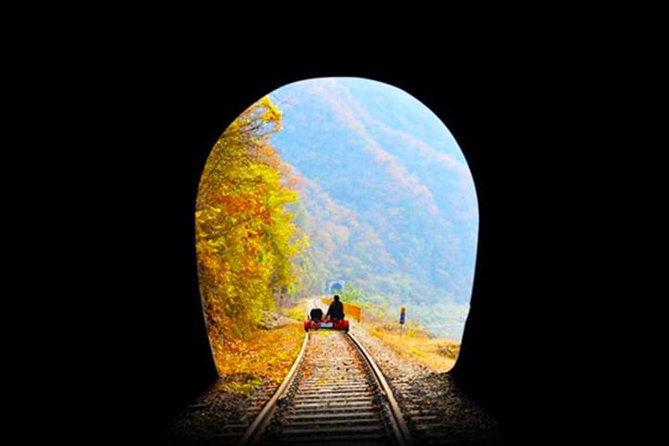 Day Tour to Gangchon Rail Bike Nami Island and Petite France - Gapyeong Rail Bike: fun ride time with a seating reality check