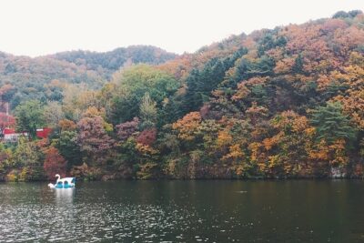 Day Tour to Gangchon Rail Bike Nami Island and Petite France - Pickup at 8:40 and the smooth logistics you’ll notice first