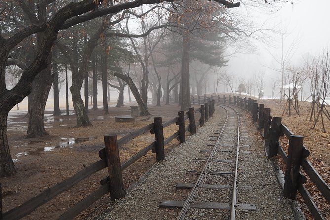 Day Tour to Gangchon Rail Bike Nami Island and Petite France - Your guide, the pace, and what private really means