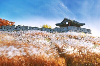 Day Trip to UNESCO: Suwon Fortress Adventure from Seoul - Getting to Myeong-dong and out again (without a travel headache)