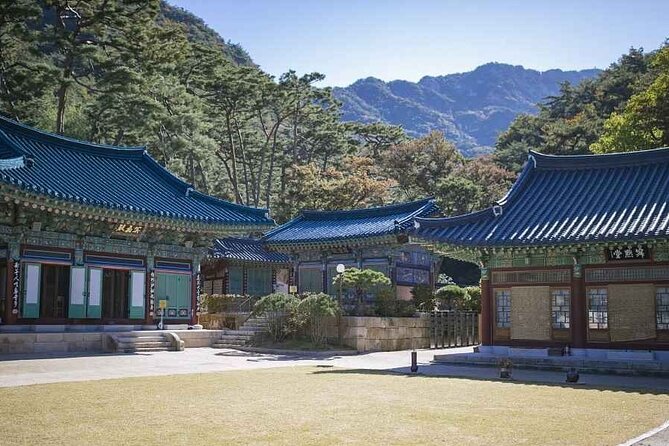 DMZ, Eunpyeong village and Jinkwansa Temple Private Tour - Jingwansa Temple in the forest: a spiritual reset in about an hour