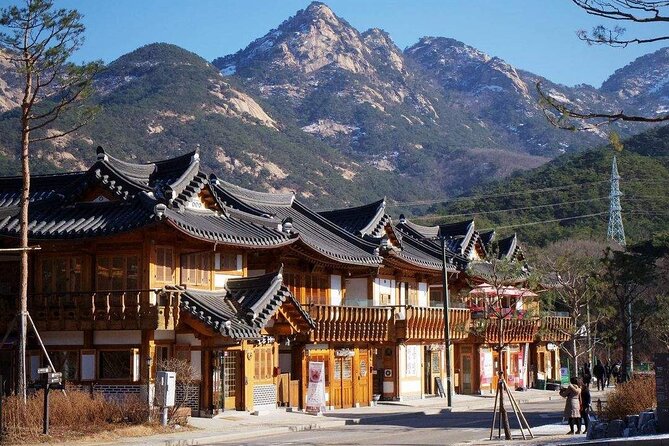 DMZ, Eunpyeong village and Jinkwansa Temple Private Tour - How the private format changes the DMZ day