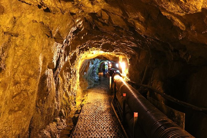 DMZ Tour: 3rd Tunnel, Option(Suspension Bridge, Boat) from Seoul - Key highlights to know before you go
