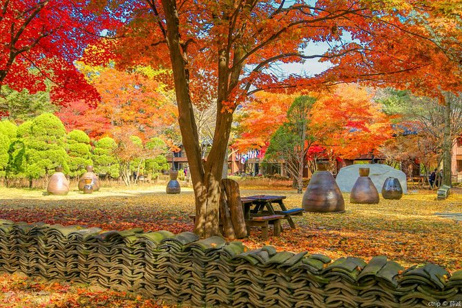 Easy private tour to Nami Island, Garden of Morning Calm - Guide style: why it can feel amazing (or just fine)