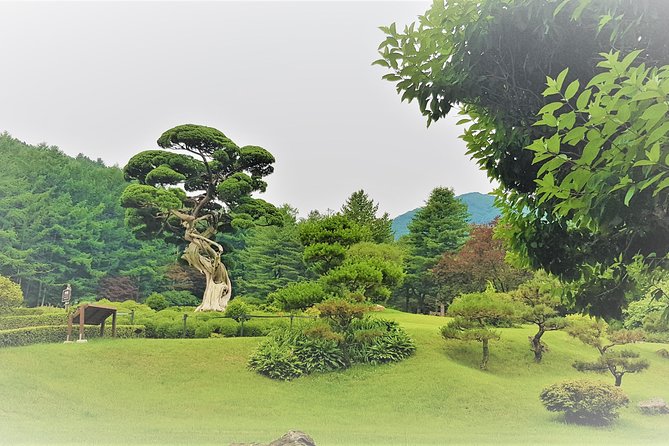 Easy private tour to Nami Island, Garden of Morning Calm - Best time to book: use crowd control to your advantage
