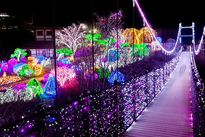Easy private tour to Nami Island, Garden of Morning Calm - Who this tour is for (and who should skip it)