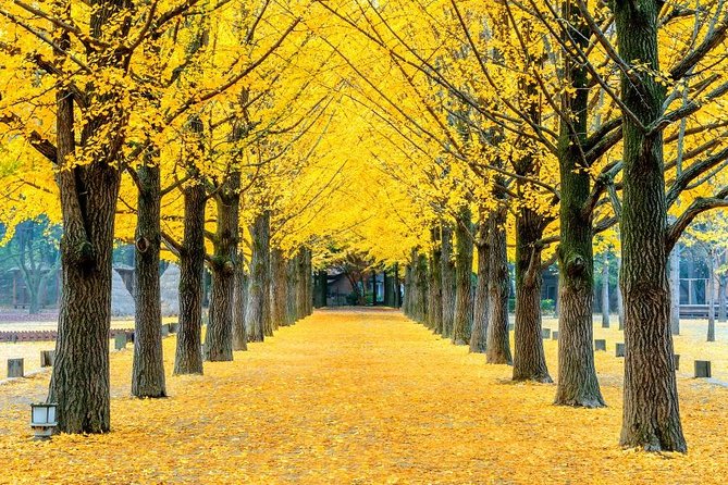 Easy private tour to Nami Island, Garden of Morning Calm - The Garden of Morning Calm: four seasons plus film-friendly charm