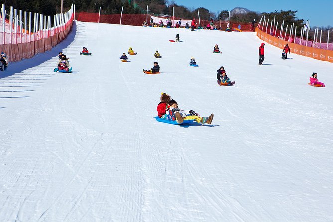 Elysian Gangchon Winter Ski + Eobi Ice Valley Day Tour fr Seoul - Is this good for you? Best matches and best alternatives