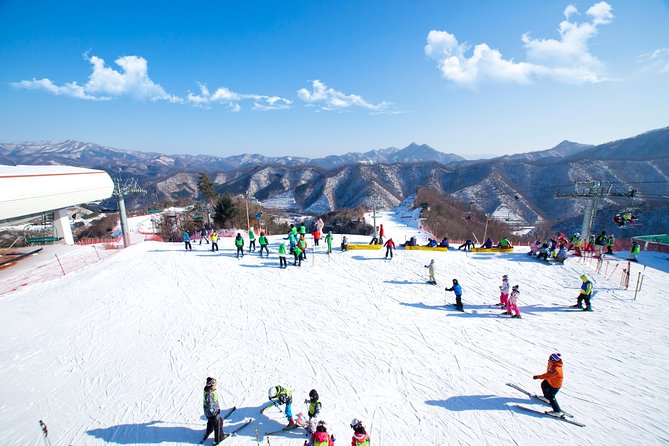 Elysian Gangchon Winter Ski with Nami Island Day Tour from Seoul - Quick hits before you go