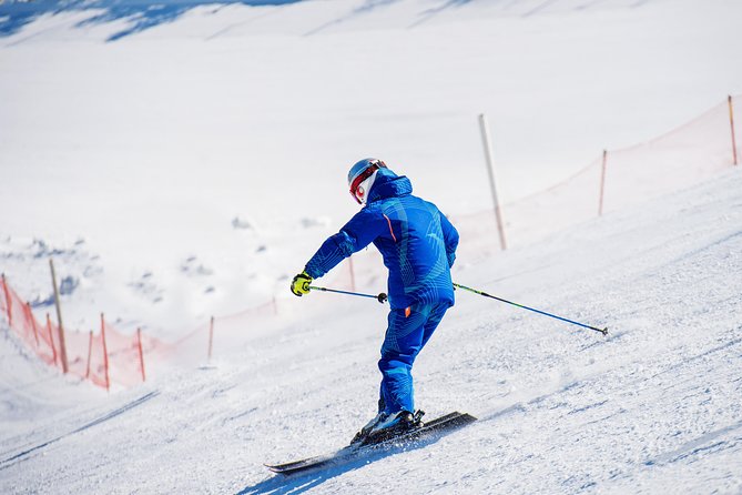 Elysian Gangchon Winter Ski with Nami Island Day Tour from Seoul - Elysian Gangchon Ski Resort: rentals, lifts, and a basic lesson