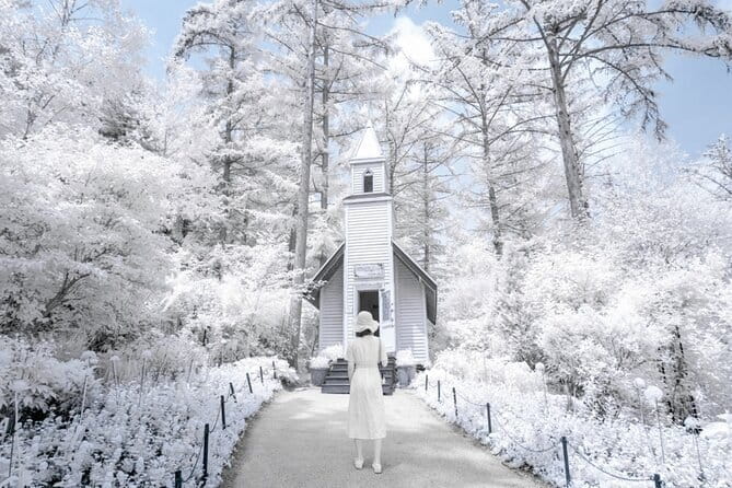 Eobi Ice Valley, Nami Island, Morning Calm and Rail Bike Seoul - A tight 12–13 hour Seoul circuit with real pickup times