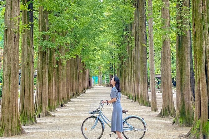 Eobi Ice Valley& Nami Island with Garden of Morning Calm Trip - How the 10-Hour Schedule Really Feels