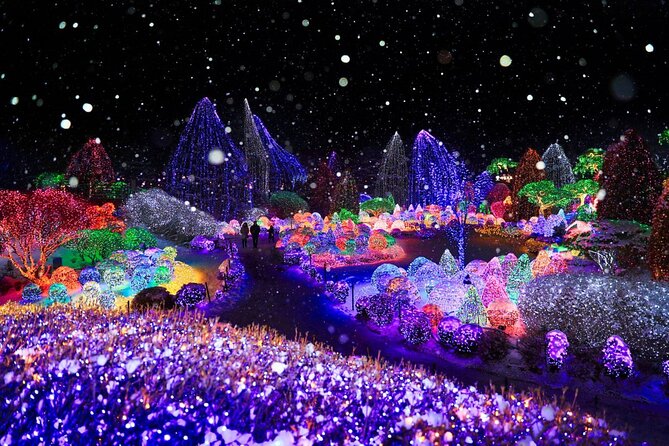 Eobi Ice Valley& Nami Island with Garden of Morning Calm Trip - Nami Island: Winter Sonata Trees and a Real Stroll