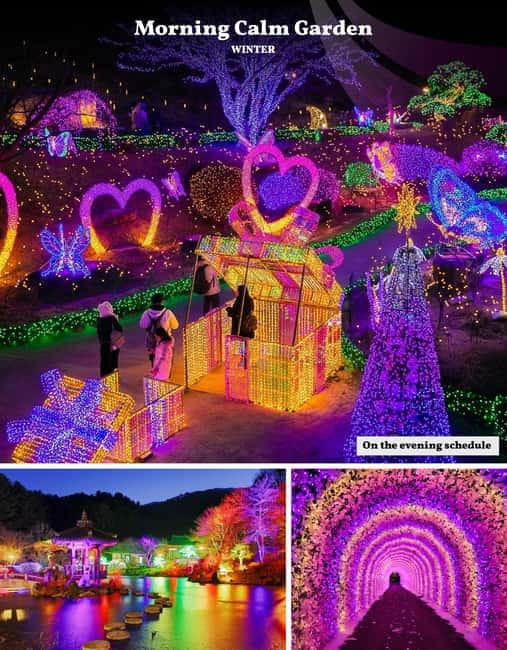 Eobi Ice Valley & Nami & Railbike & Petite & Morning Calm - Morning Calm Light Festival: The Best-Final Stop When You’re Cold and Ready for Magic