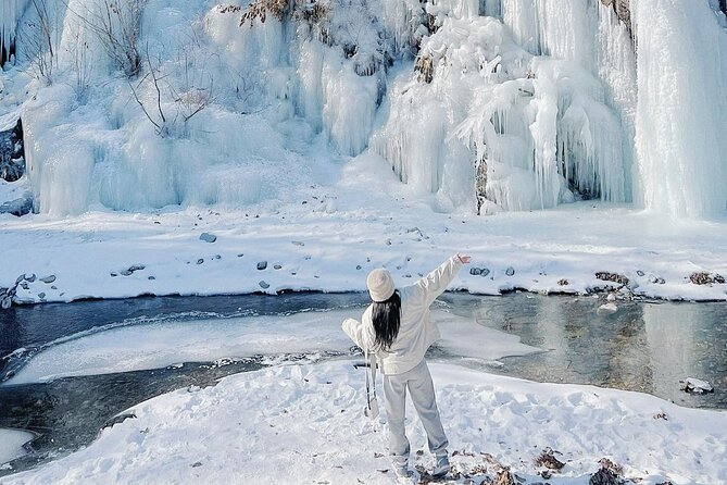 Eobi Ice Wall & Nami Island & Morning Calm Light Festival - Key highlights worth knowing