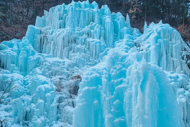 Eobi Ice Wall & Nami Island & Morning Calm Light Festival - Garden of Morning Calm Light Festival: The Night Payoff