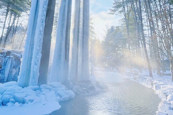 Eobi Ice Wall & Nami Island & Morning Calm Light Festival - Weather and Comfort Tips for Getting the Most Out of Each Stop