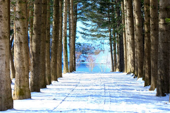 Eobi Ice Wall & Nami Island & Morning Calm Light Festival - Who This Day Trip Fits Best
