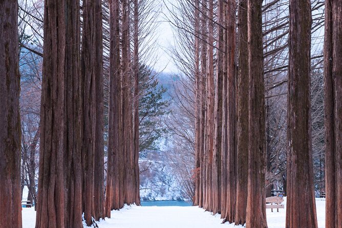 Eobi Valley(Winter), Strawberry, Nami Island & Railbike fr Seoul - Getting Out of Seoul: Round-Trip Transport That Saves Your Energy
