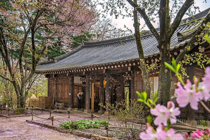 Eobi+Nami+Hanbok Tour with Rail Bike or Strawberry Option - Key things I’d plan around