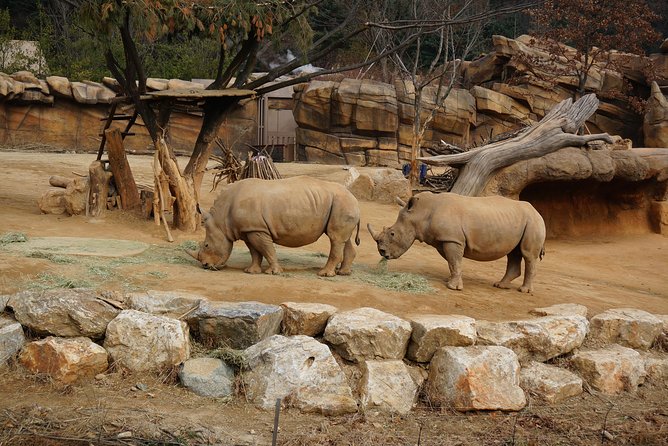 EVERLAND "From Hotel to Hotel" [Premium Private Tour: Only One Group for You] - Price and value: is $188 per person fair?