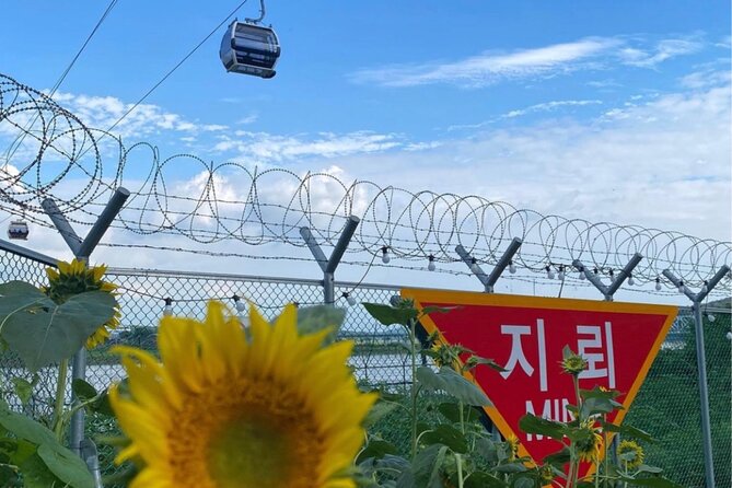 From Seoul: Cost-Benefit DMZ Shuttle Bus tour - Price and value: $31 shuttle plus $10 admission to plan correctly
