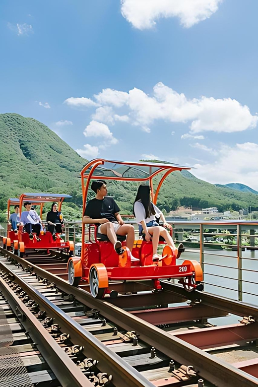 From Seoul: Full Day Trip to Alpaca Farm with Rail Bike - Should you book the alpaca farm and rail bike day trip?