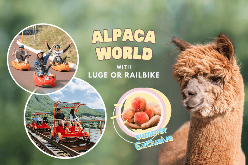 From Seoul: Full Day Trip to Alpaca Farm with Rail Bike - Alpaca World: feeding, strolling, and the animal mix