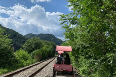 From Seoul: Full Day Trip to Alpaca Farm with Rail Bike - Seoul meeting points, one drop-off, and how the day is paced