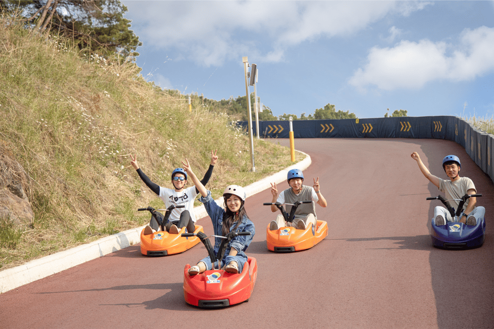 From Seoul: Full Day Trip to Alpaca Farm with Rail Bike - The value math: what $59 really covers (and what you’ll still pay)