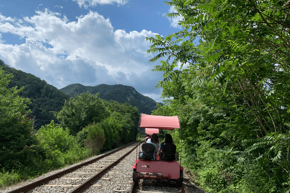 From Seoul: Full Day Trip to Alpaca Farm with Rail Bike - Seoul meeting points, one drop-off, and how the day is paced
